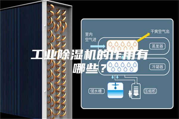 工業(yè)除濕機(jī)的作用有哪些？