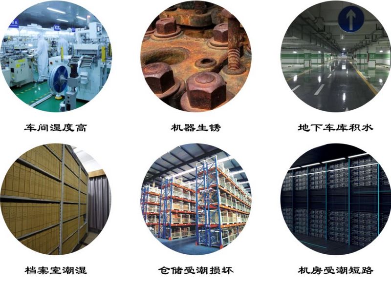 1583130370477084.jpg 3.jpg