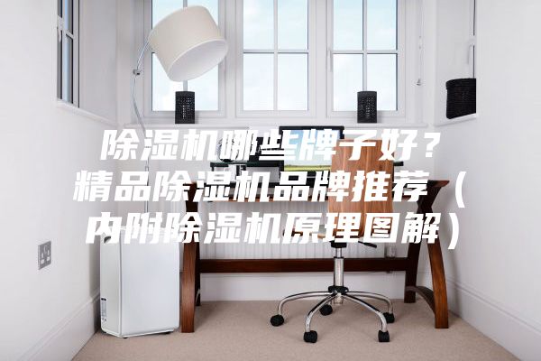除濕機(jī)哪些牌子好？精品除濕機(jī)品牌推薦（內(nèi)附除濕機(jī)原理圖解）
