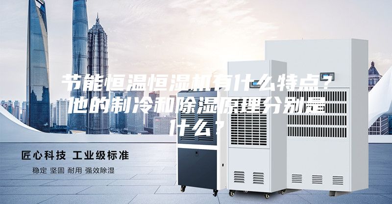 節(jié)能恒溫恒濕機(jī)有什么特點？他的制冷和除濕原理分別是什么？