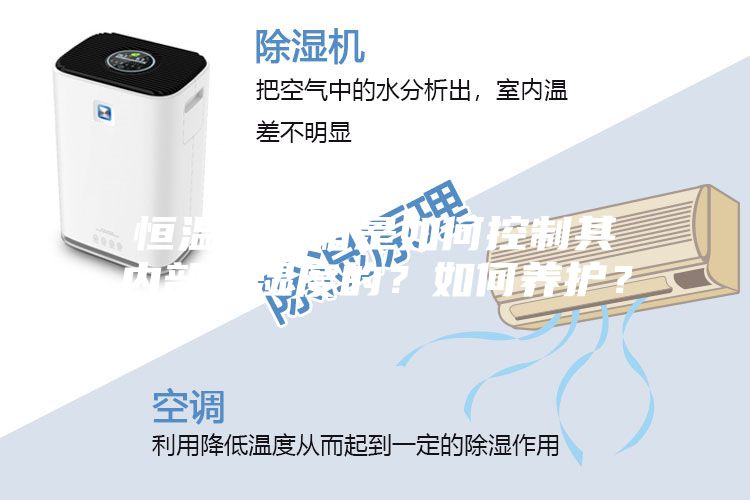 恒溫恒濕箱是如何控制其內部溫濕度的？如何養護？