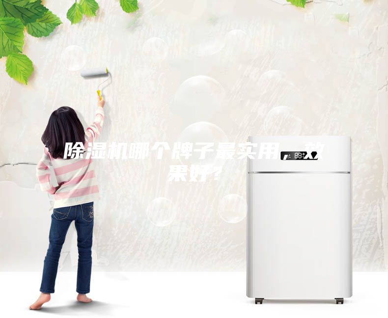 除濕機哪個牌子最實用，效果好？