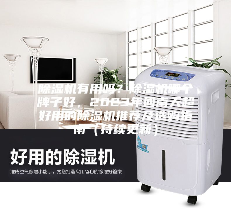 除濕機有用嗎？除濕機哪個牌子好，2023年回南天超好用的除濕機推薦及選購指南（持續更新）