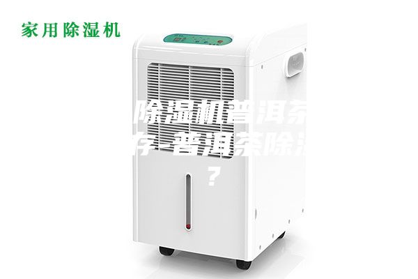 沒(méi)有除濕機(jī)普洱茶怎么保存-普洱茶除濕嗎？