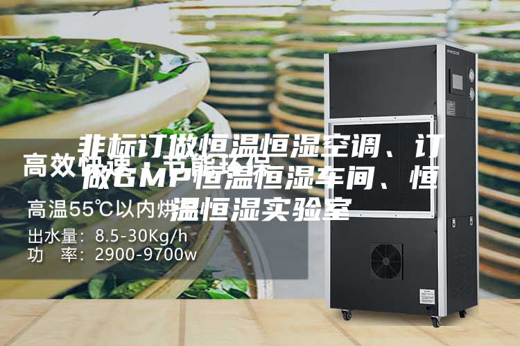 非標(biāo)訂做恒溫恒濕空調(diào)、訂做GMP恒溫恒濕車間、恒溫恒濕實(shí)驗(yàn)室