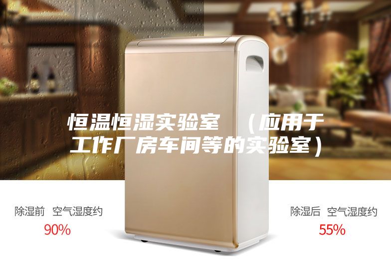 恒溫恒濕實驗室 (應用于工作廠房車間等的實驗室)