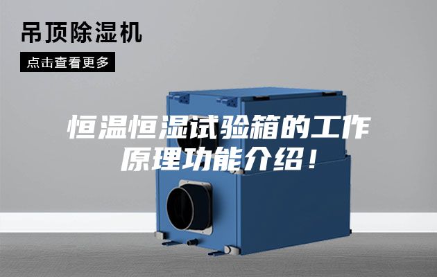 恒溫恒濕試驗箱的工作原理功能介紹!
