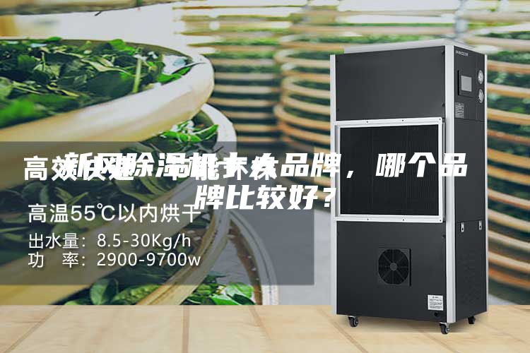新風(fēng)除濕機(jī)十大品牌，哪個(gè)品牌比較好？
