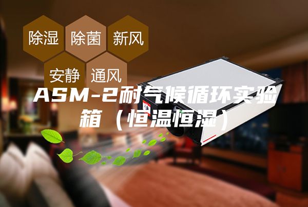 ASM-2耐氣候循環(huán)實(shí)驗(yàn)箱（恒溫恒濕）