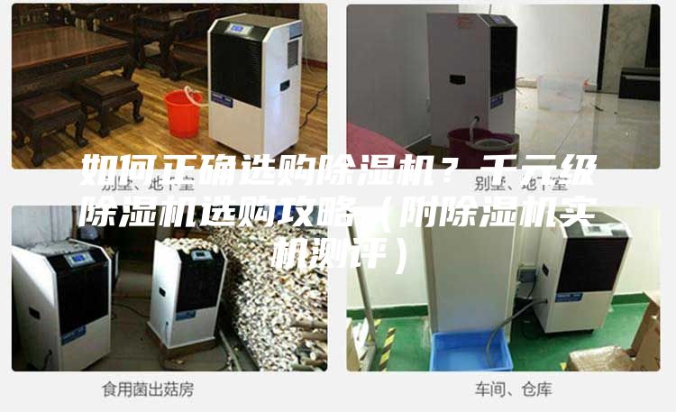 如何正確選購除濕機？千元級除濕機選購攻略（附除濕機實機測評）