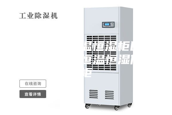 檔案儲存恒溫恒濕柜醫(yī)用恒溫恒濕柜恒溫恒濕儲藏柜