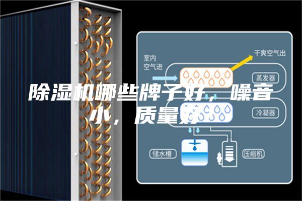 除濕機哪些牌子好，噪音小，質量好？