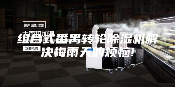 組合式番禺轉(zhuǎn)輪除濕機(jī)解決梅雨天的煩惱!