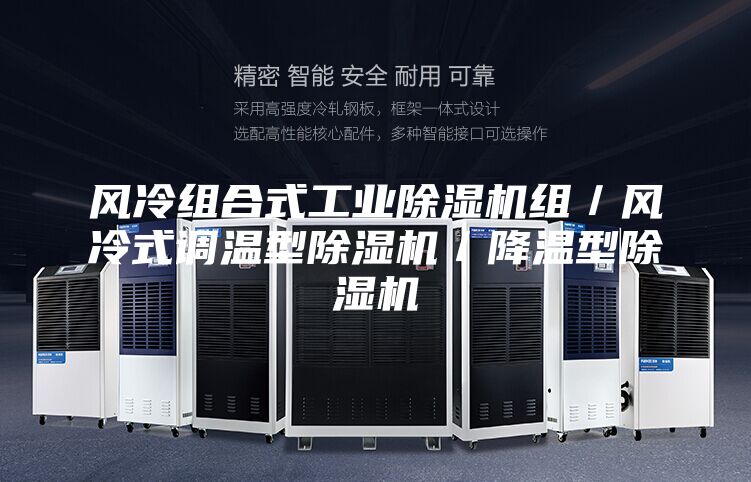 風(fēng)冷組合式工業(yè)除濕機組／風(fēng)冷式調(diào)溫型除濕機／降溫型除濕機