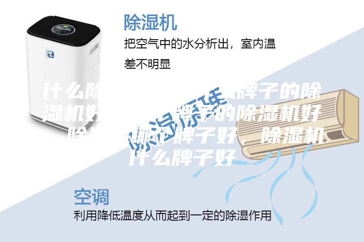 什么除濕機好，什么牌子的除濕機好，哪個牌子的除濕機好，除濕機哪個牌子好，除濕機什么牌子好