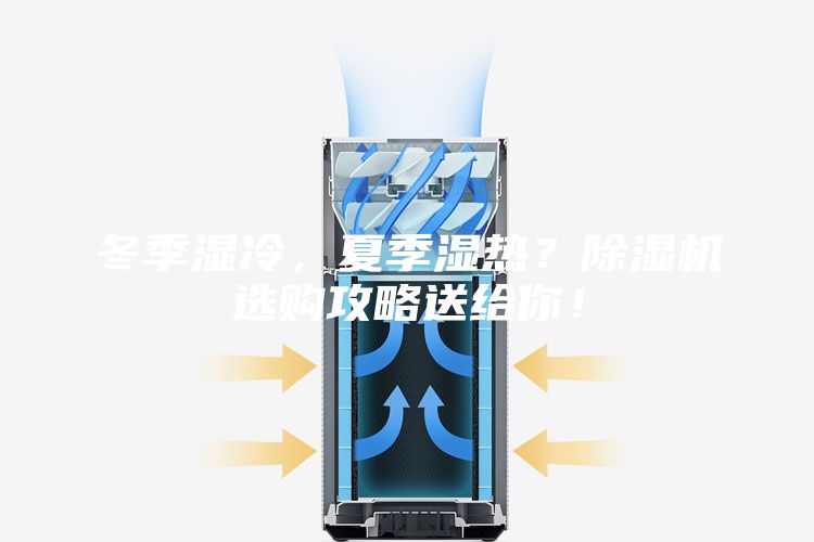 冬季濕冷，夏季濕熱？除濕機選購攻略送給你！