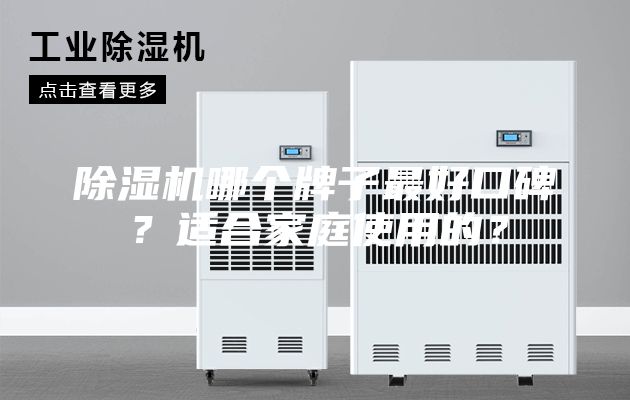 除濕機哪個牌子最好口碑？適合家庭使用的？