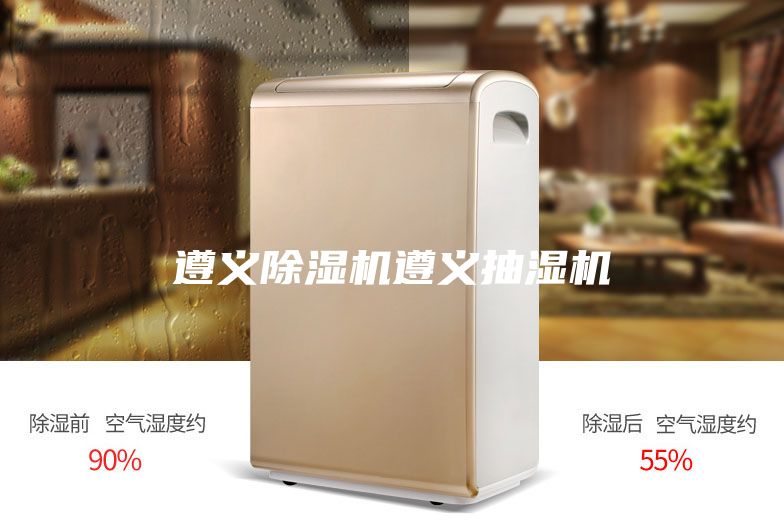 遵義除濕機(jī)遵義抽濕機(jī)