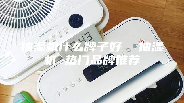 抽濕機(jī)什么牌子好  抽濕機(jī) 熱門品牌推薦
