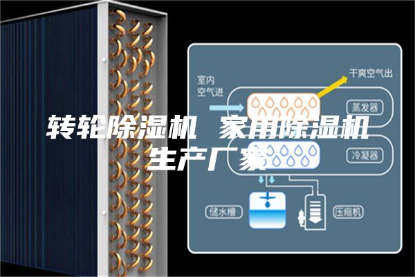 轉(zhuǎn)輪除濕機 家用除濕機生產(chǎn)廠家