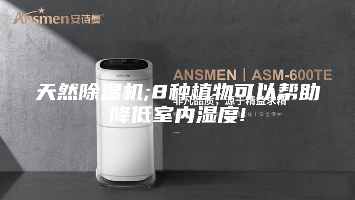 天然除濕機(jī);8種植物可以幫助降低室內(nèi)濕度!