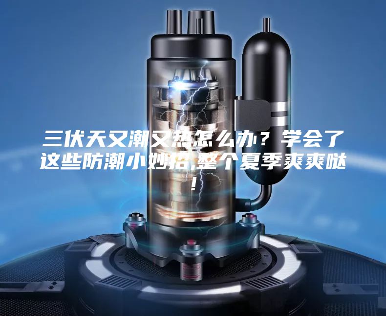 三伏天又潮又熱怎么辦？學會了這些防潮小妙招,整個夏季爽爽噠!