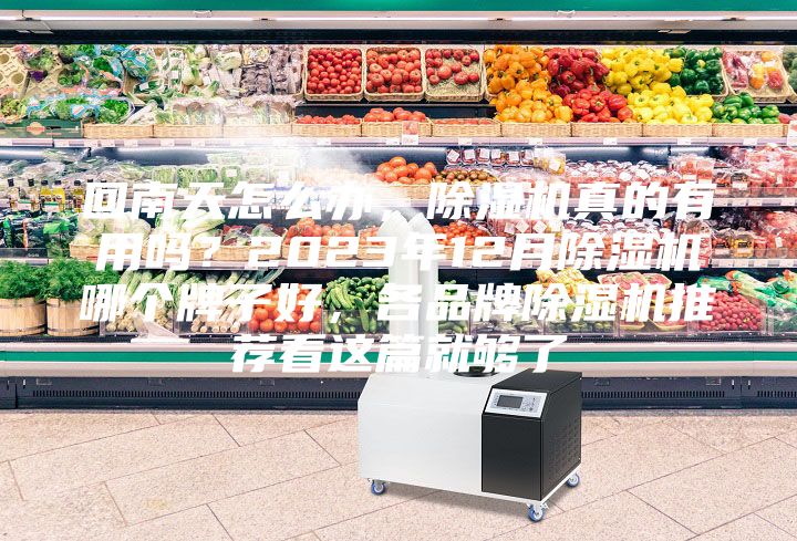 回南天怎么辦，除濕機真的有用嗎？2023年12月除濕機哪個牌子好，各品牌除濕機推薦看這篇就夠了