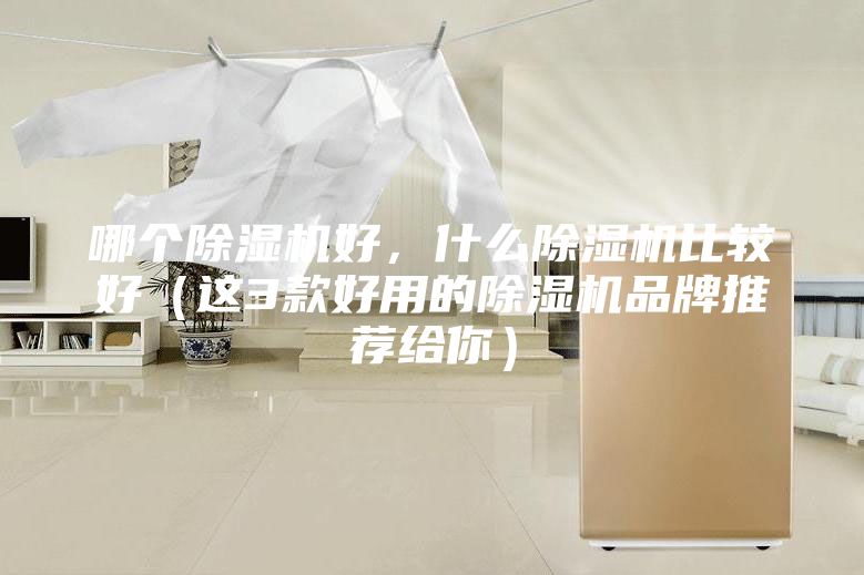 哪個(gè)除濕機(jī)好，什么除濕機(jī)比較好（這3款好用的除濕機(jī)品牌推薦給你）