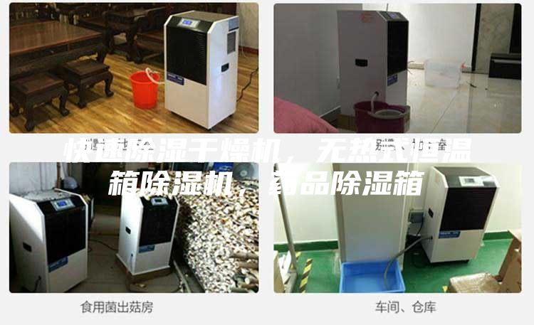 快速除濕干燥機，無熱式恒溫箱除濕機，藥品除濕箱