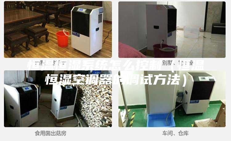 恒溫恒濕系統(tǒng)怎么控制（恒溫恒濕空調(diào)器的調(diào)試方法）