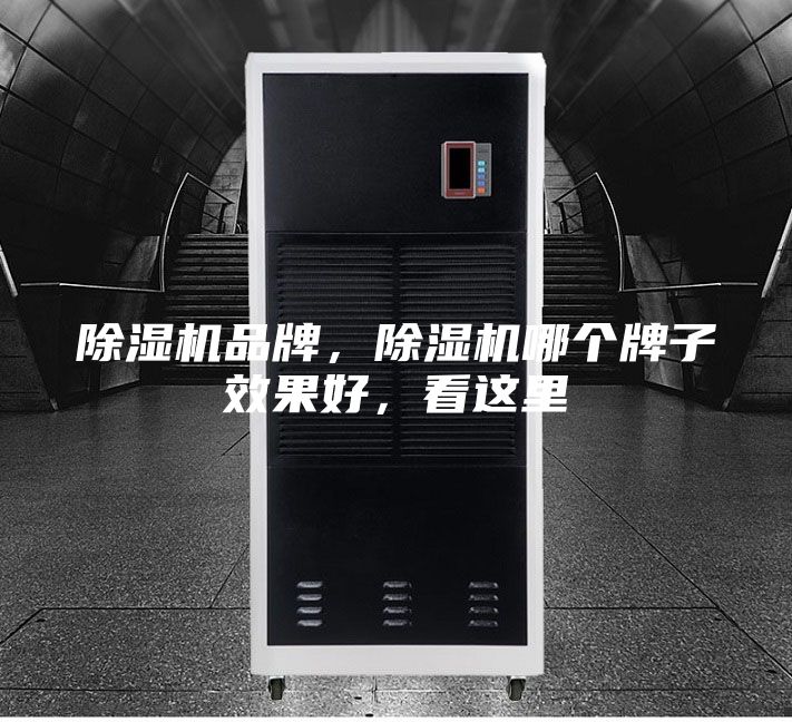 除濕機品牌，除濕機哪個牌子效果好，看這里
