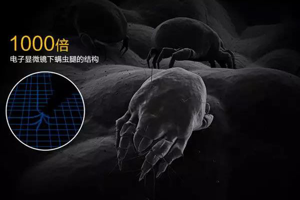 螨蟲高發(fā)季，家用除濕機(jī)除螨有妙計(jì)！