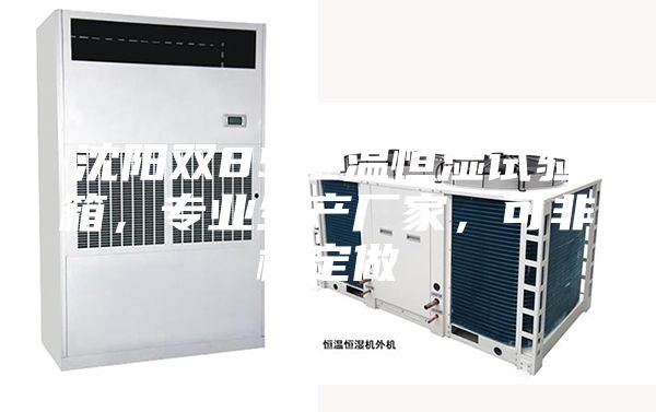 沈陽雙85恒溫恒濕試驗箱，專業(yè)生產(chǎn)廠家，可非標定做