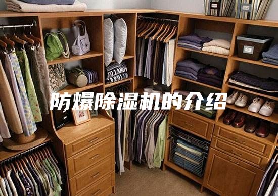 防爆除濕機(jī)的介紹
