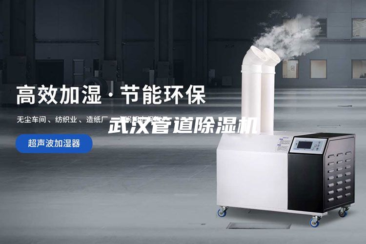 武漢管道除濕機