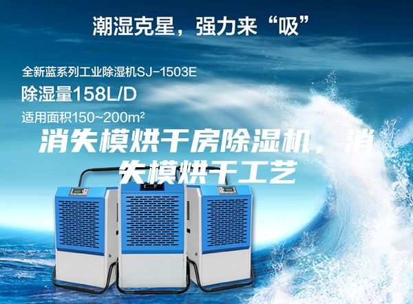 消失模烘干房除濕機(jī)，消失模烘干工藝