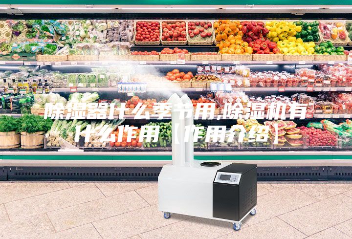 除濕器什么季節(jié)用,除濕機(jī)有什么作用【作用介紹】