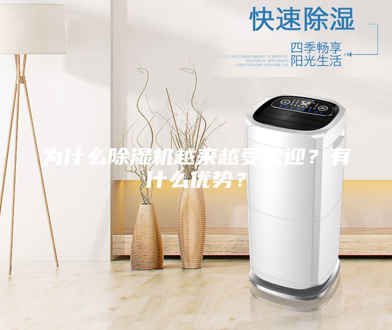 為什么除濕機(jī)越來越受歡迎？有什么優(yōu)勢？
