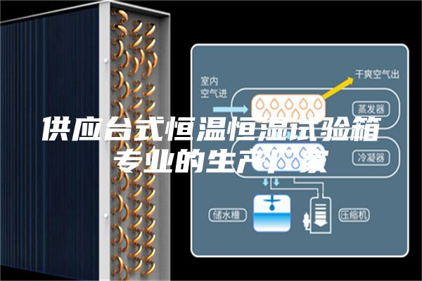 供應臺式恒溫恒濕試驗箱 專業(yè)的生產廠家