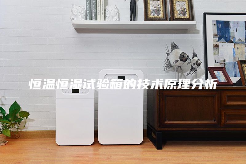 恒溫恒濕試驗箱的技術(shù)原理分析
