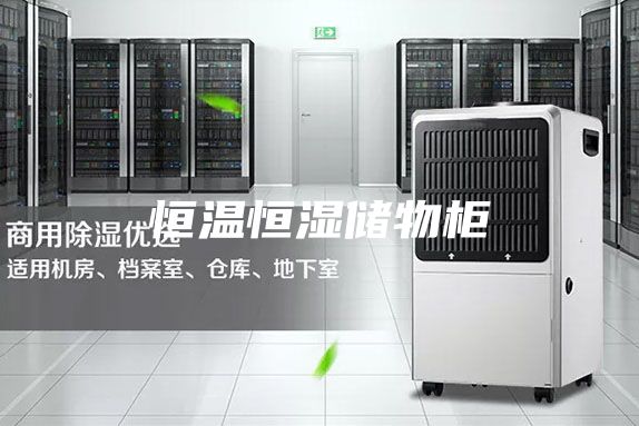 恒溫恒濕儲物柜