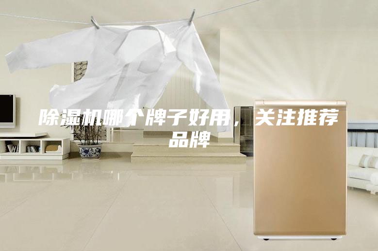 除濕機哪個牌子好用，關(guān)注推薦品牌