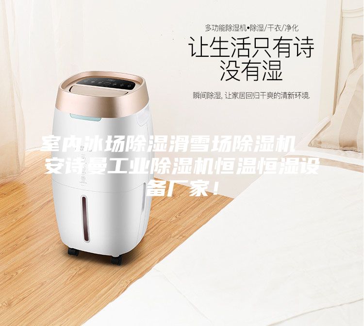 室內冰場除濕滑雪場除濕機  安詩曼工業除濕機恒溫恒濕設備廠家！