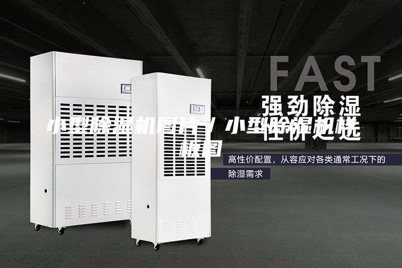 小型除濕機圖片/小型除濕機樣板圖