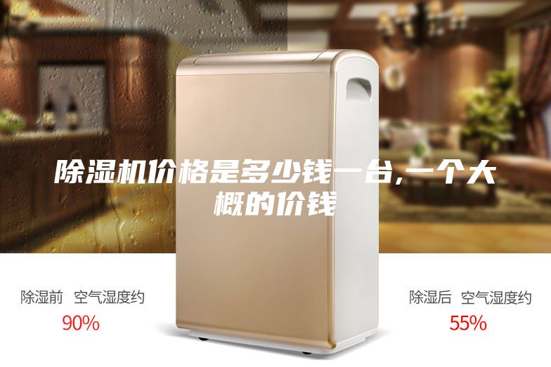 除濕機(jī)價(jià)格是多少錢一臺,一個(gè)大概的價(jià)錢