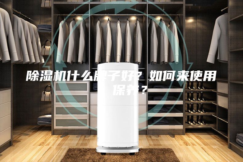 除濕機(jī)什么牌子好？如何來使用、保養(yǎng)？