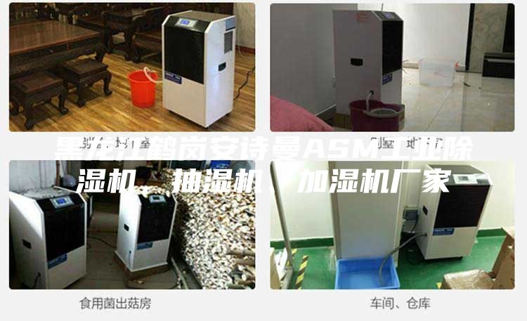 黑龍江鶴崗安詩(shī)曼ASM工業(yè)除濕機(jī)，抽濕機(jī)、加濕機(jī)廠家