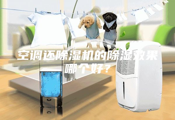 空調(diào)還除濕機(jī)的除濕效果哪個(gè)好?
