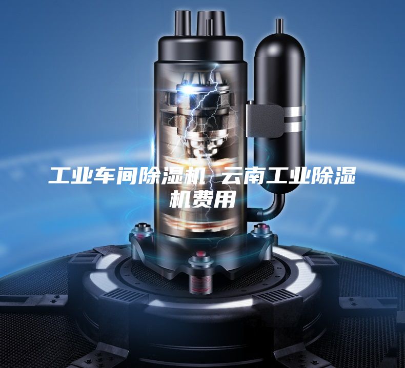 工業車間除濕機 云南工業除濕機費用