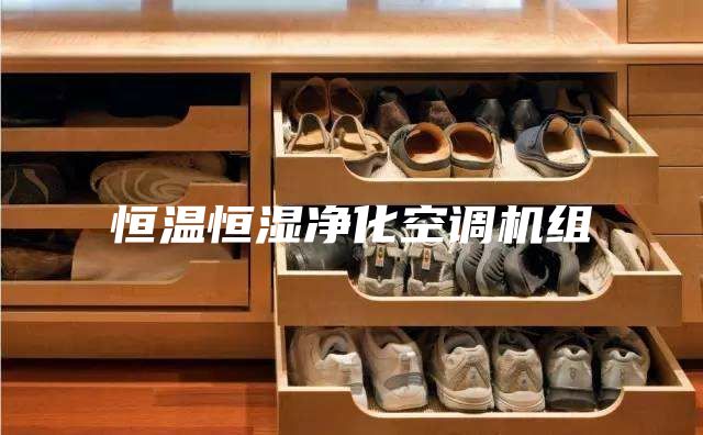 恒溫恒濕凈化空調(diào)機組